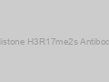 Histone H3R17me2s Antibody